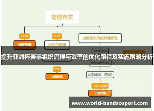 提升亚洲杯赛事组织流程与效率的优化路径及实施策略分析