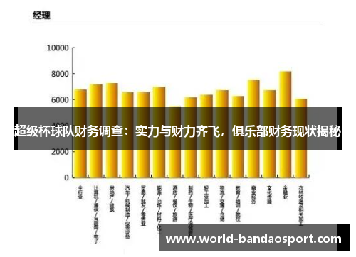 超级杯球队财务调查：实力与财力齐飞，俱乐部财务现状揭秘