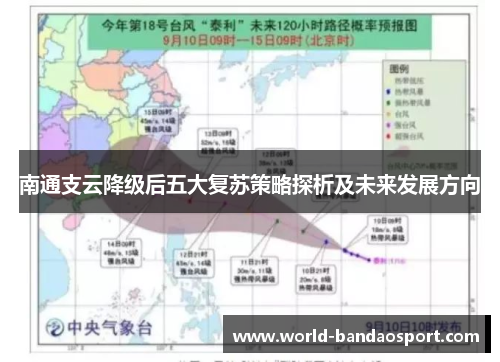 南通支云降级后五大复苏策略探析及未来发展方向