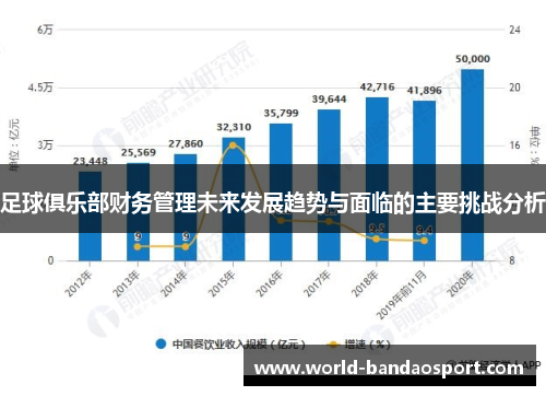 足球俱乐部财务管理未来发展趋势与面临的主要挑战分析