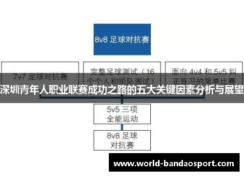 深圳青年人职业联赛成功之路的五大关键因素分析与展望