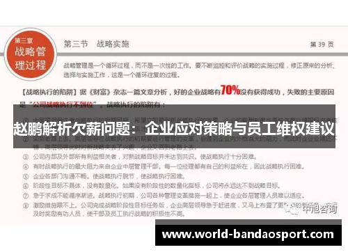 赵鹏解析欠薪问题：企业应对策略与员工维权建议