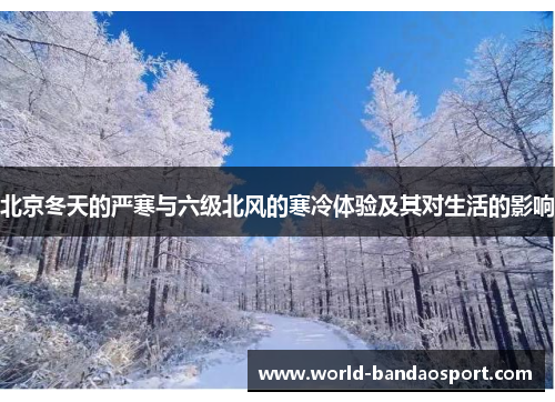 北京冬天的严寒与六级北风的寒冷体验及其对生活的影响