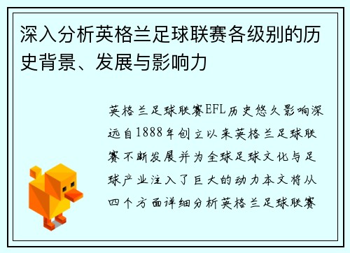 深入分析英格兰足球联赛各级别的历史背景、发展与影响力