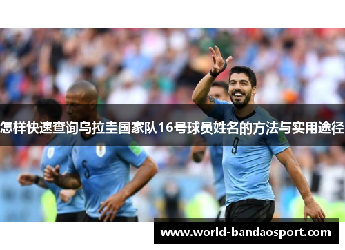 怎样快速查询乌拉圭国家队16号球员姓名的方法与实用途径