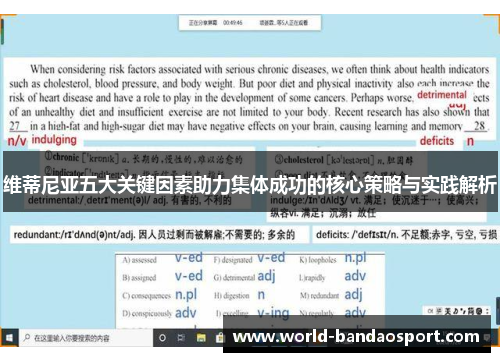 维蒂尼亚五大关键因素助力集体成功的核心策略与实践解析
