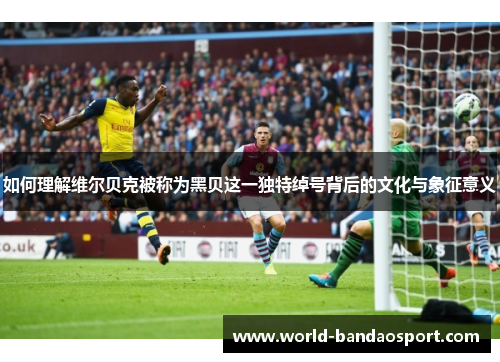 如何理解维尔贝克被称为黑贝这一独特绰号背后的文化与象征意义 如何理解维尔贝克被称为黑贝这一独特绰号背后的文化与象征意义
