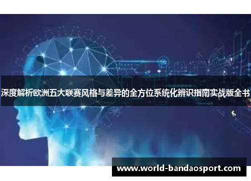 深度解析欧洲五大联赛风格与差异的全方位系统化辨识指南实战版全书 深度解析欧洲五大联赛风格与差异的全方位系统化辨识指南实战版全书