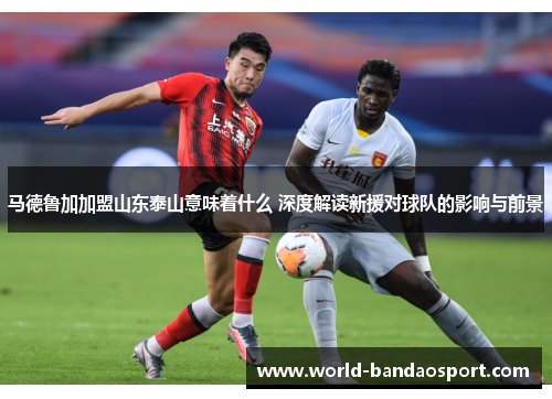 马德鲁加加盟山东泰山意味着什么 深度解读新援对球队的影响与前景