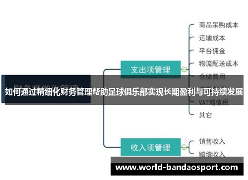 如何通过精细化财务管理帮助足球俱乐部实现长期盈利与可持续发展